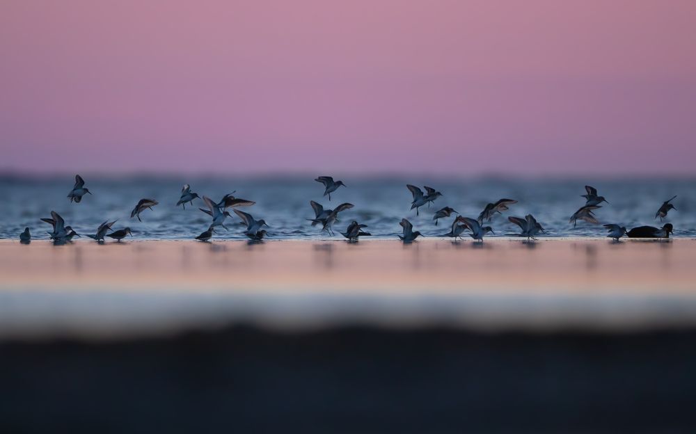 Photograph by Matteo Gaglio