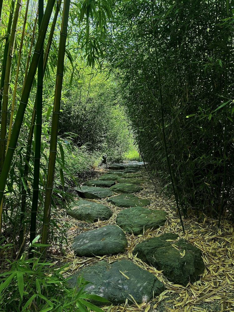 Photograph by Елена Громова