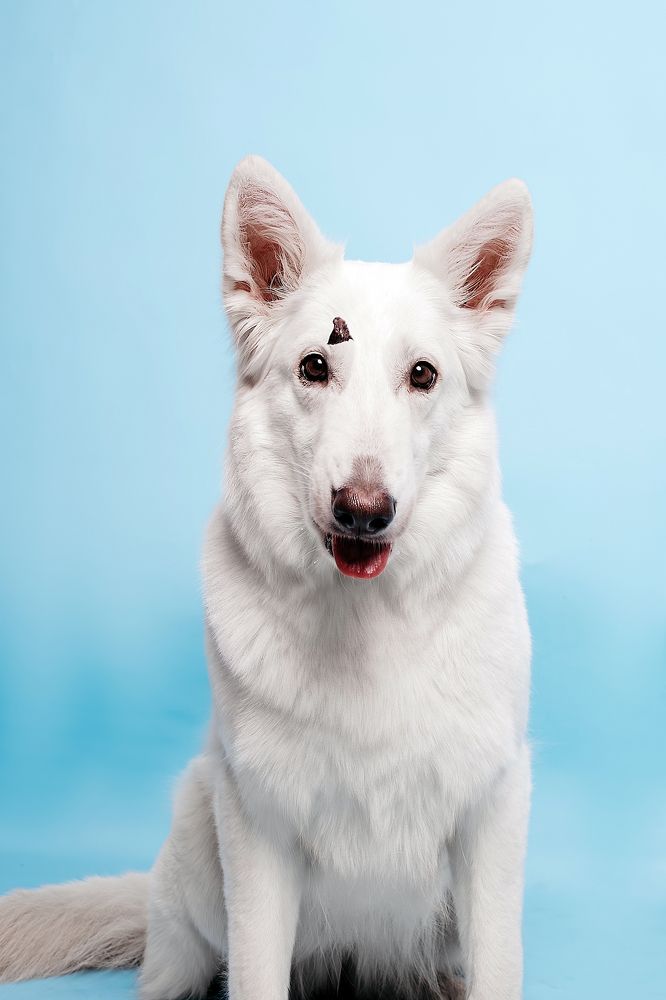 Photograph by Юлия Скворцова