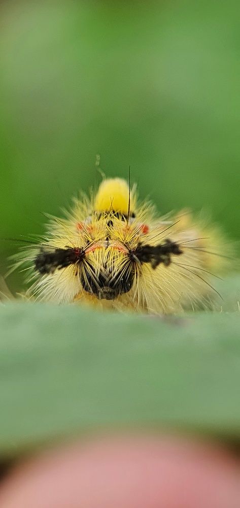 Photograph by ЕЛЕНА Рохо-Фернандес