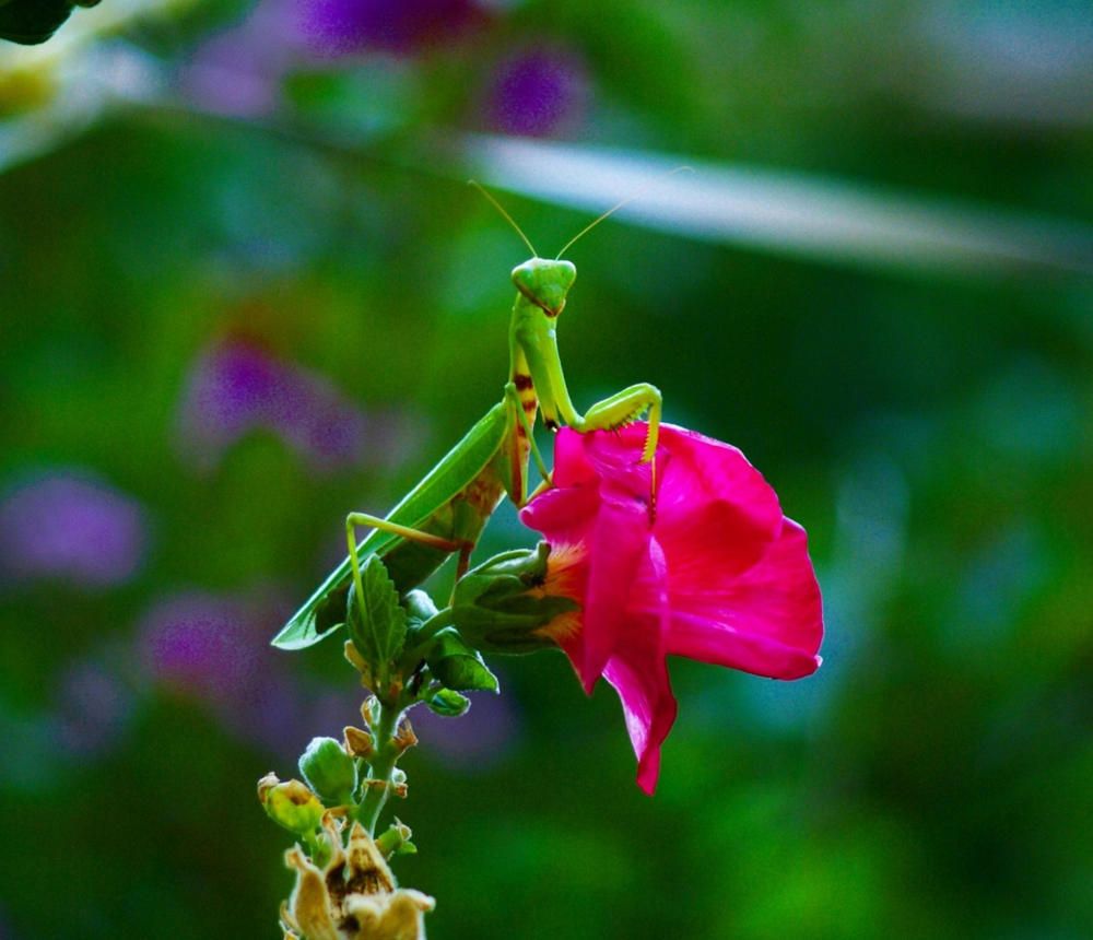 Photograph by Владимир Ким