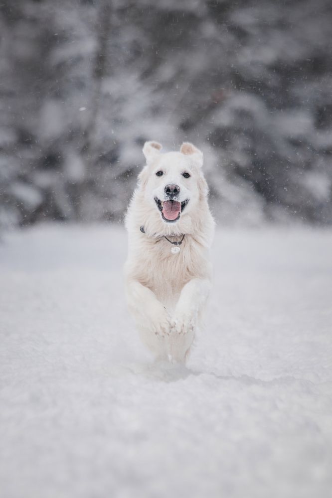 Photograph by Юлия Скворцова