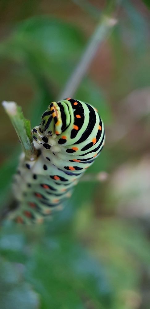 Photograph by ЕЛЕНА Рохо-Фернандес