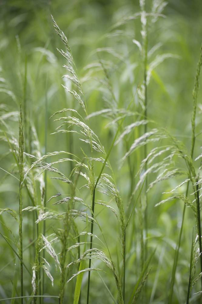 Photograph by Екатерина @Arigata