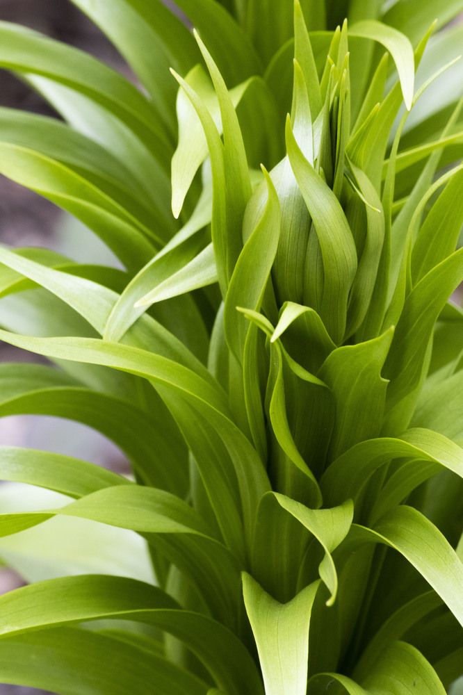 Photograph by Екатерина @Arigata