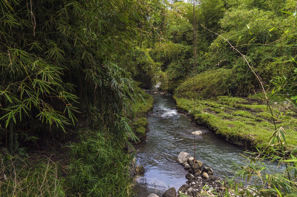 Photograph by Александр Журавлев