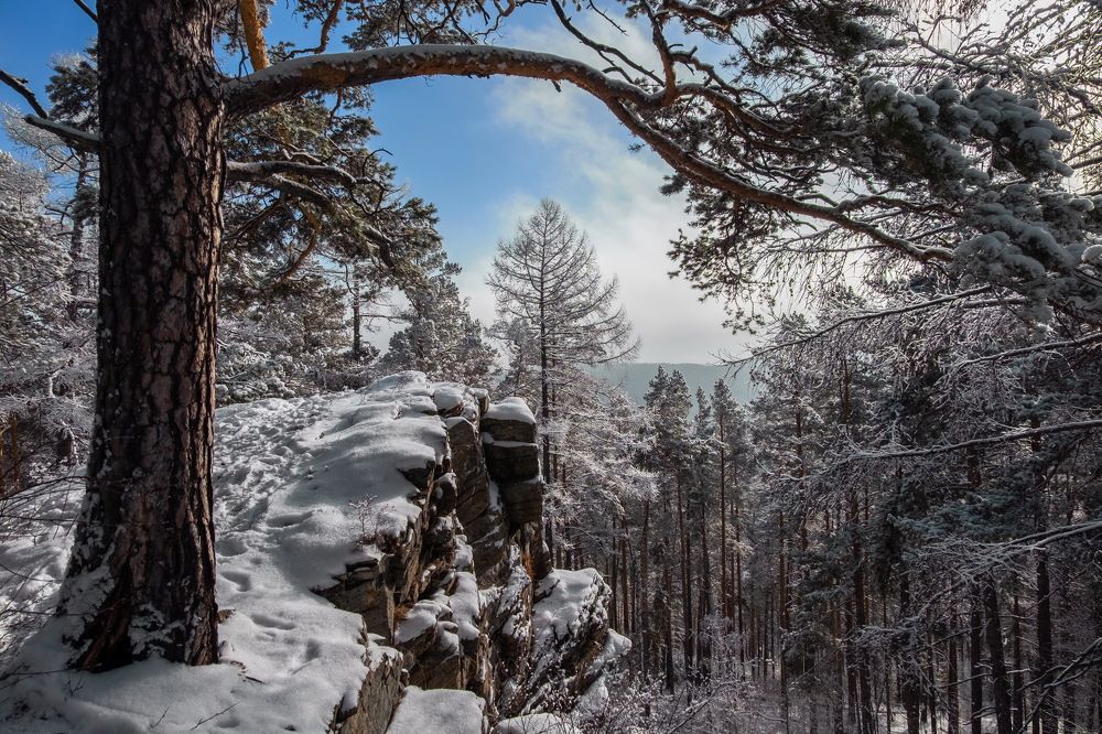 Фотография автора Андрей Ильков