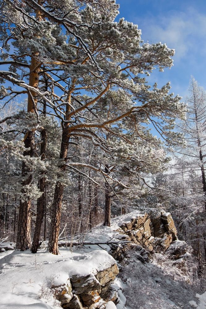 Фотография автора Андрей Ильков