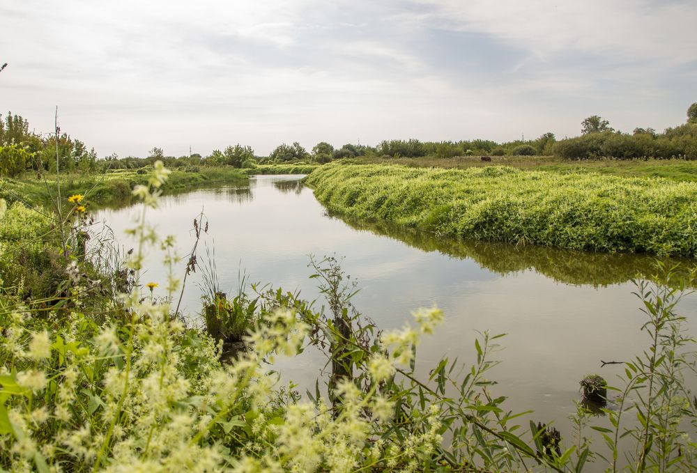 Photograph by Mikhail Tatanov