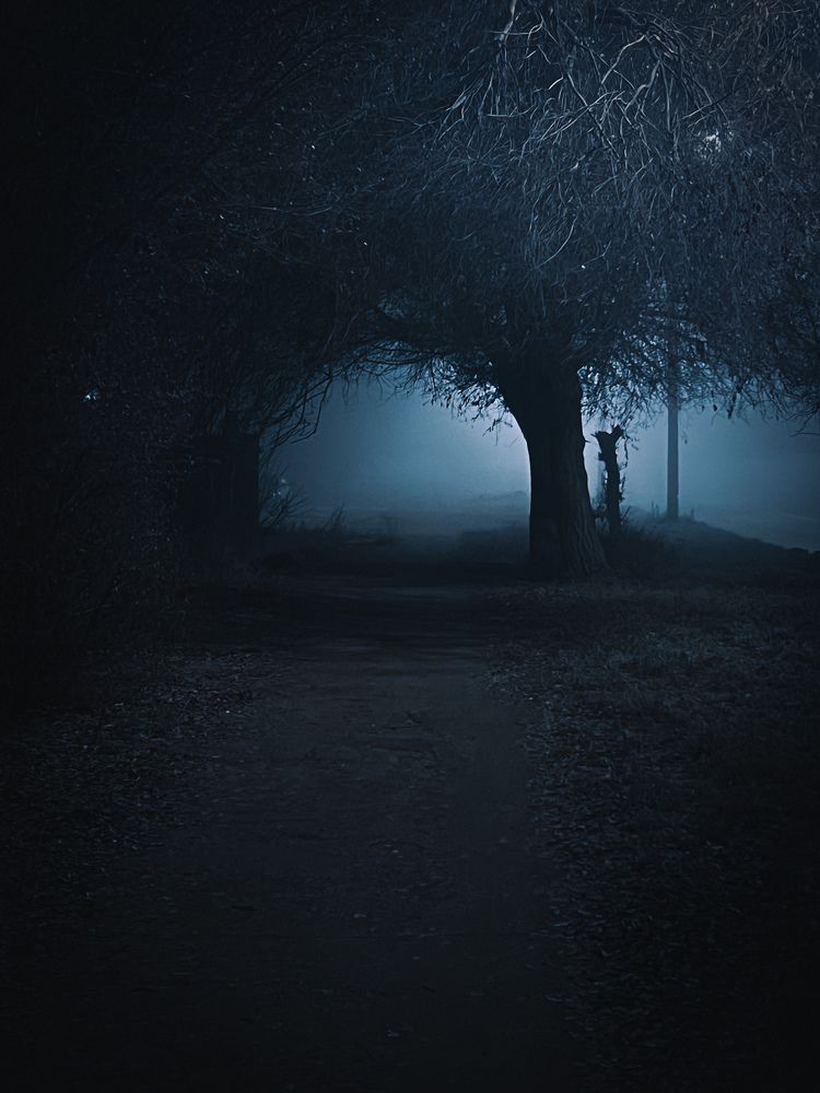 Photograph by Александр Кучеров