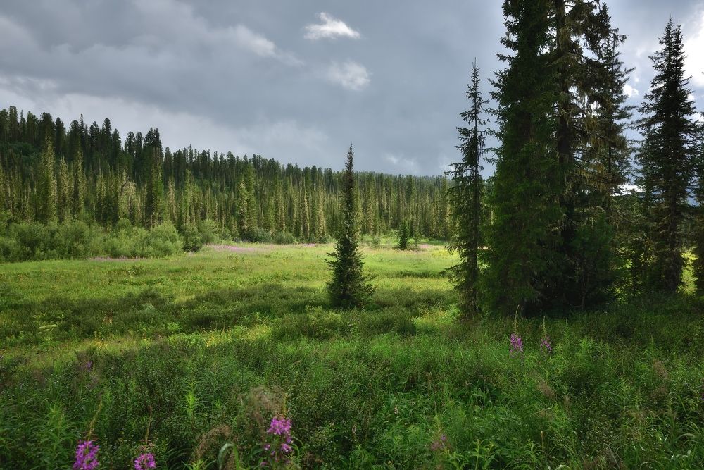 Photograph by Алексей Никонов