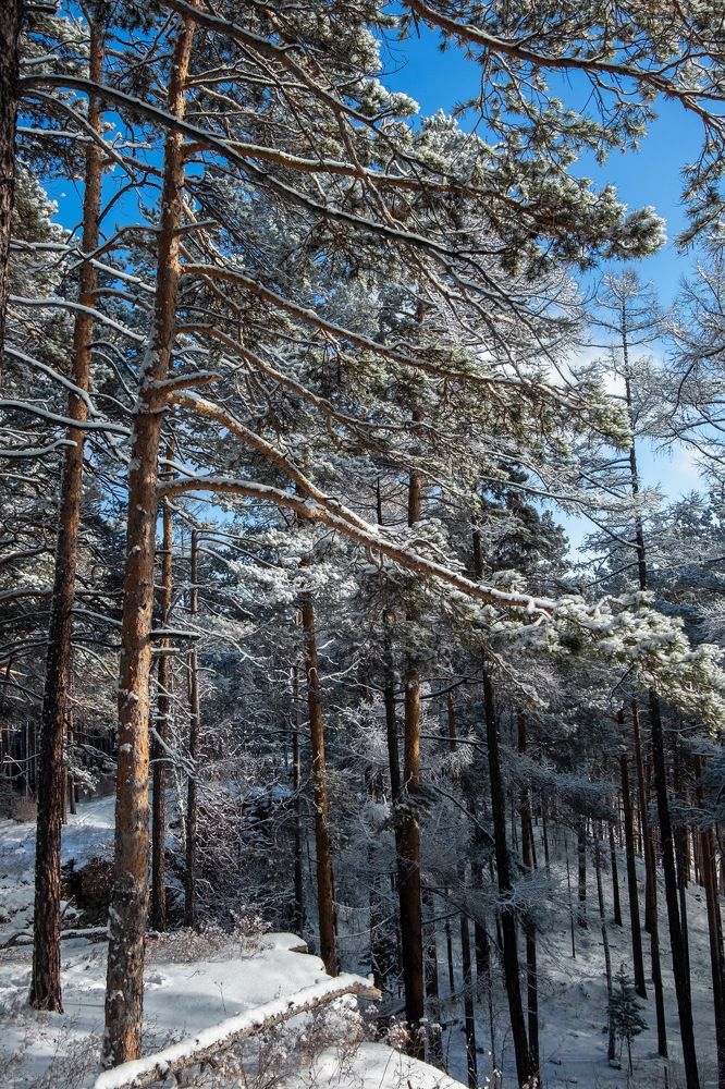 Фотография автора Андрей Ильков