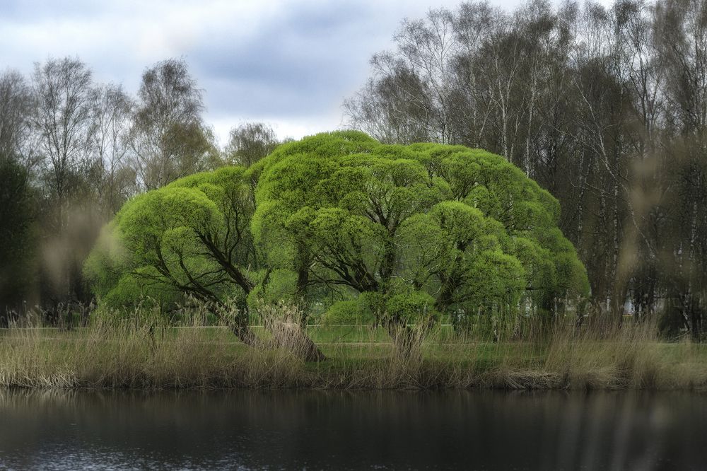 Photograph by Jurijs Rudzeiss