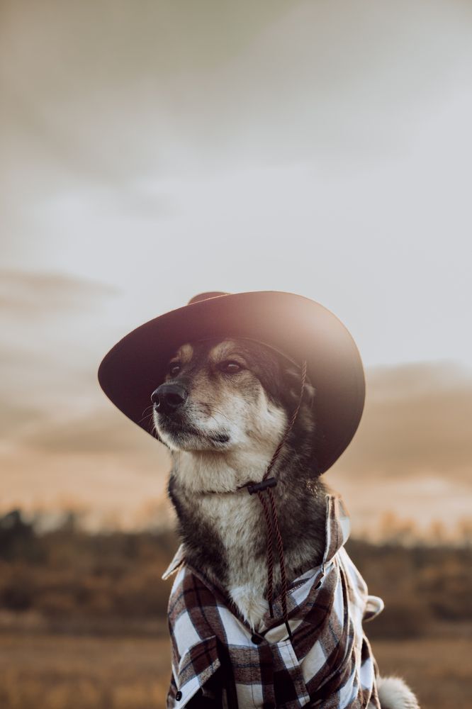 Photograph by Татьяна Степанова