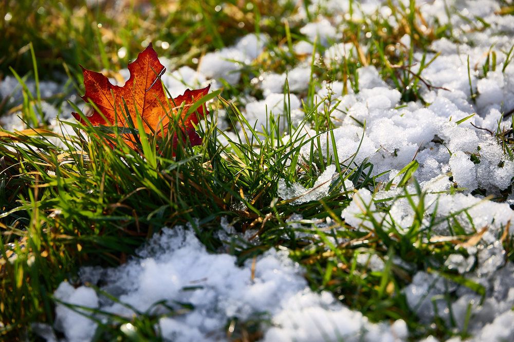 Photograph by Ольга Ходова