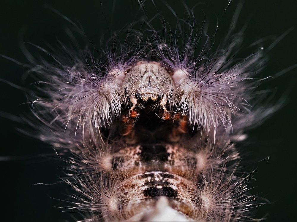 Photograph by Dharmendra Padhiyar