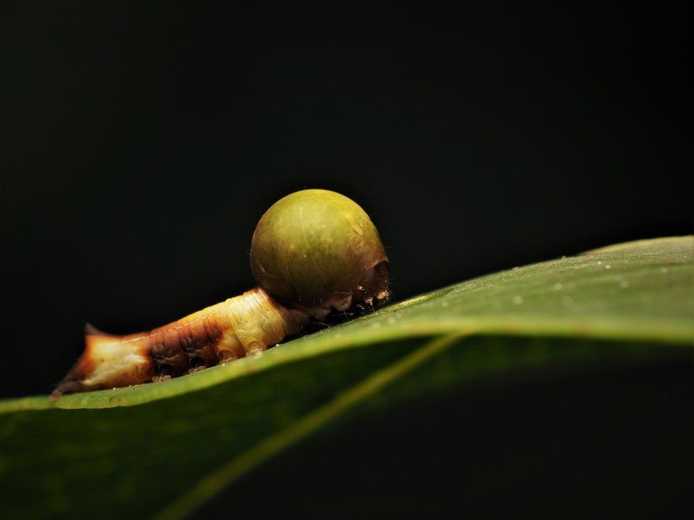 Photograph by Dharmendra Padhiyar