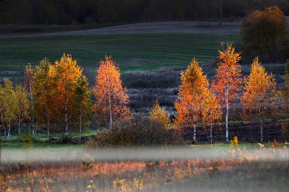 Фотография автора Inga Ivanova