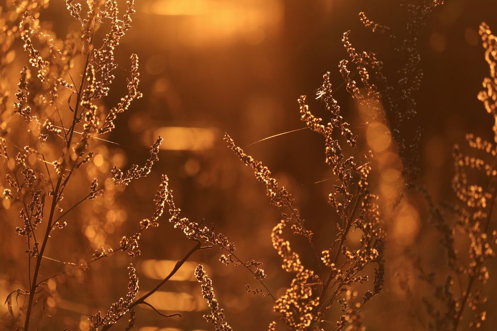 Фотография автора Inga Ivanova