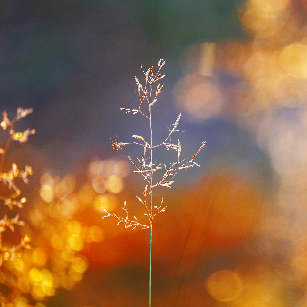 Фотография автора Inga Ivanova