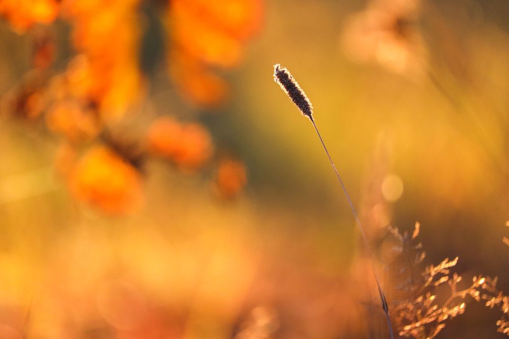 Фотография автора Inga Ivanova