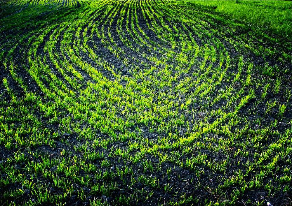 Photograph by Владимир