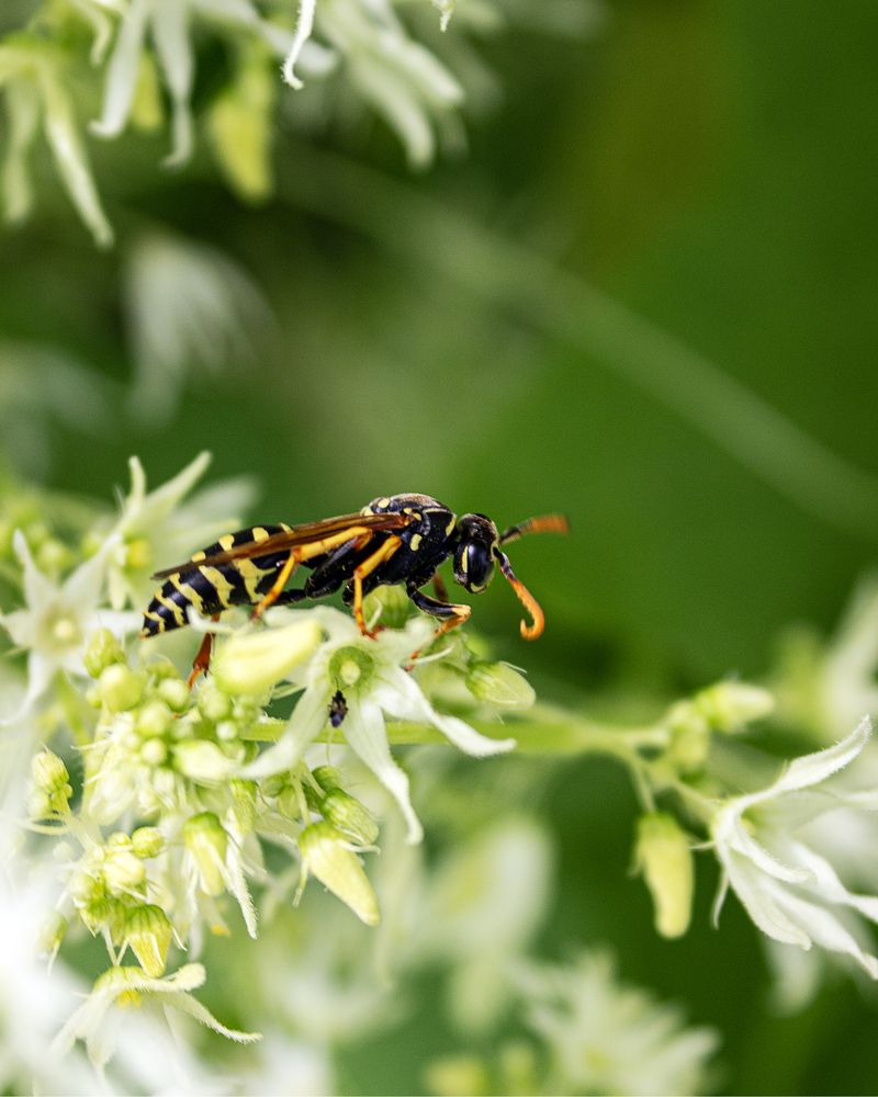 Photograph by Елена Беланенко