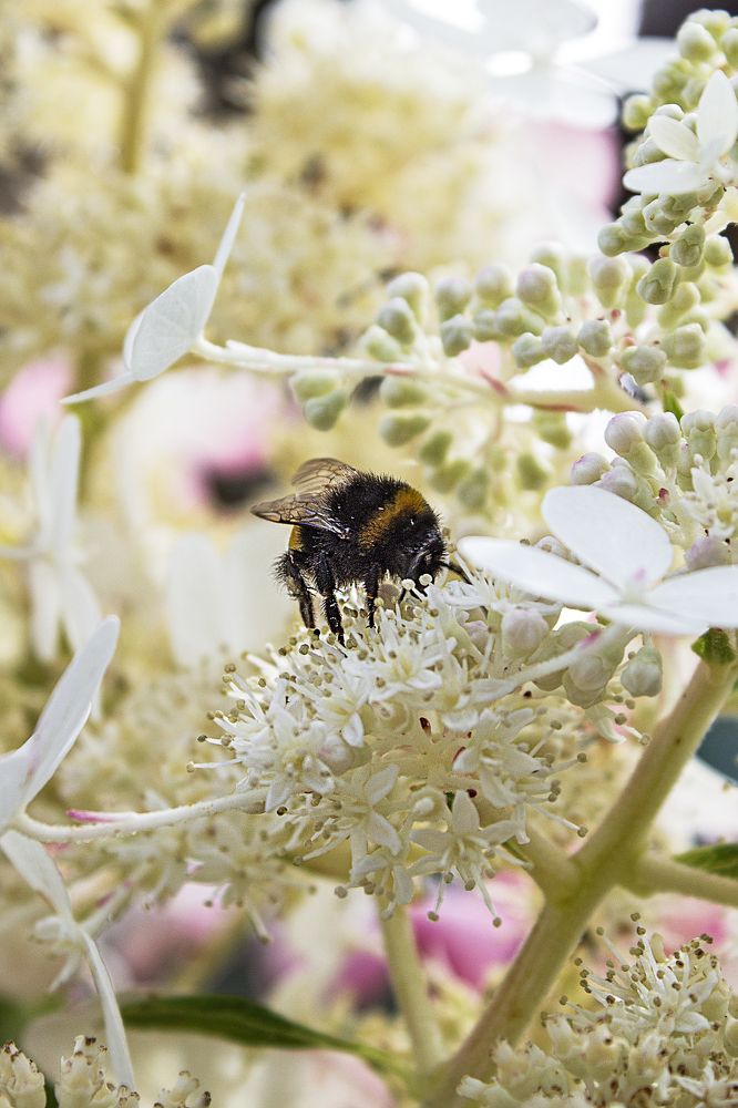 Photograph by Елена Беланенко