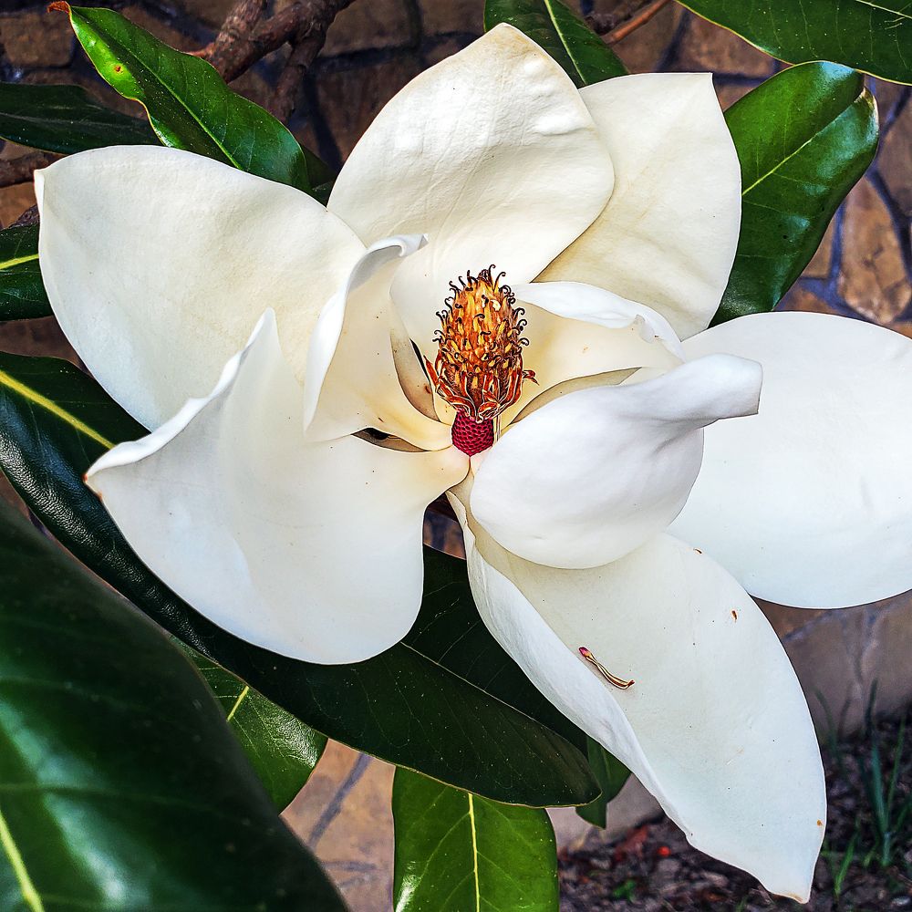 Photograph by Елена Беланенко