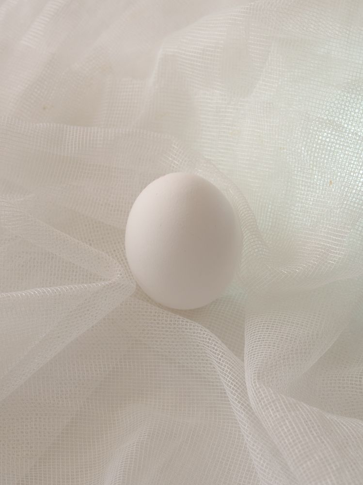 Photograph by Abdolreza Aleagha