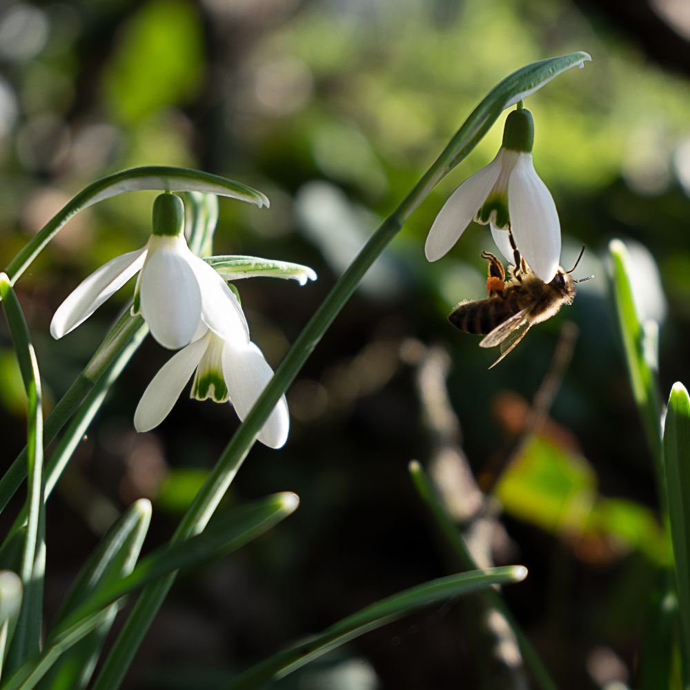 Photograph by Анастасия