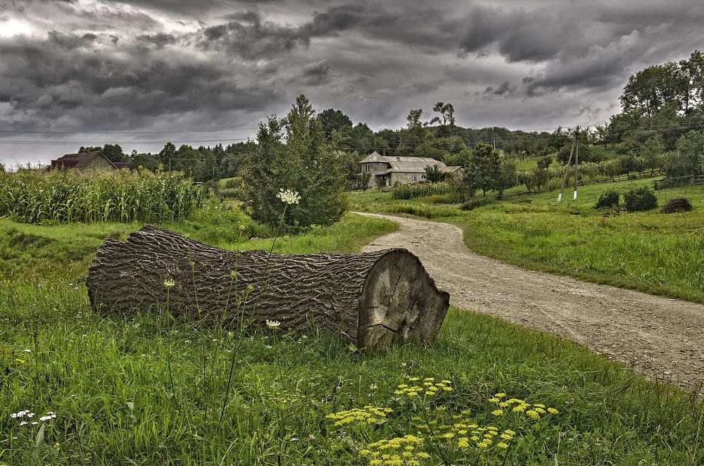 Photograph by Тетельман Давид