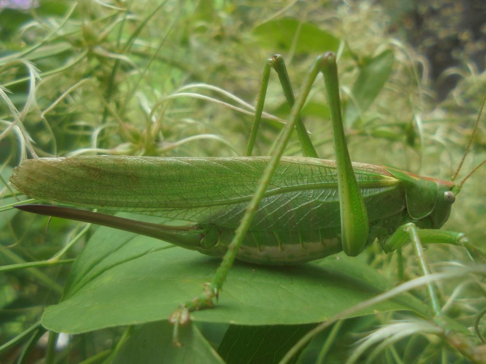 Photograph by Лилия Исхакова