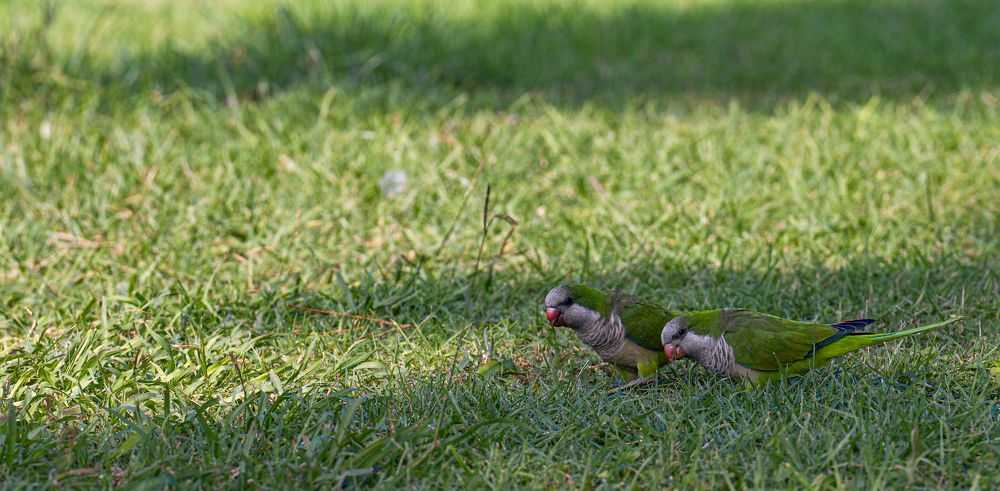 Photograph by Igor Shulkin