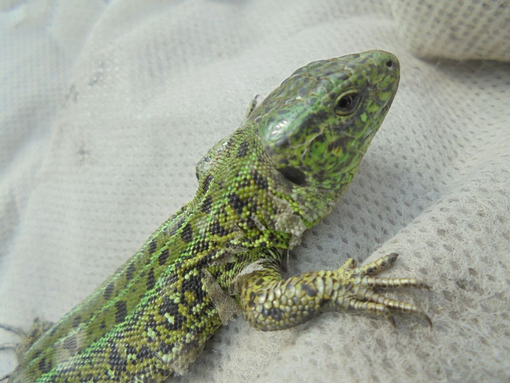 Photograph by Лилия Исхакова