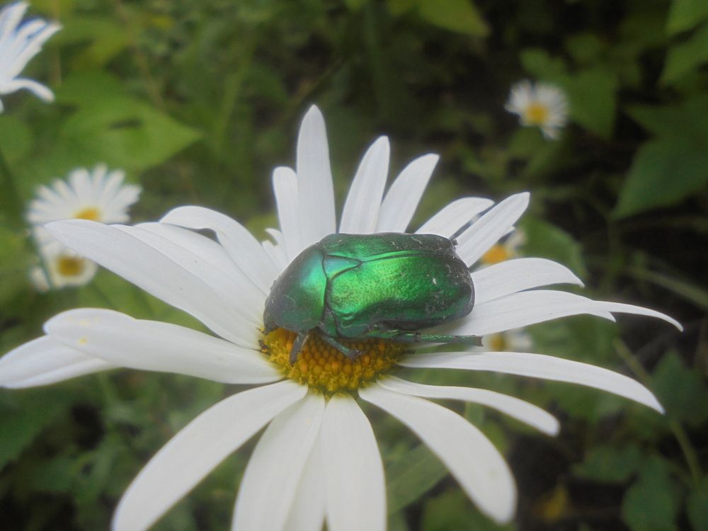 Photograph by Лилия Исхакова