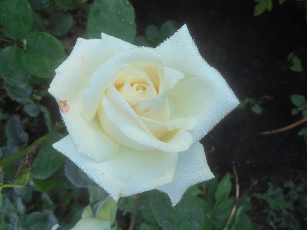 Photograph by Лилия Исхакова