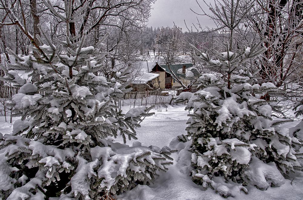 Photograph by Тетельман Давид