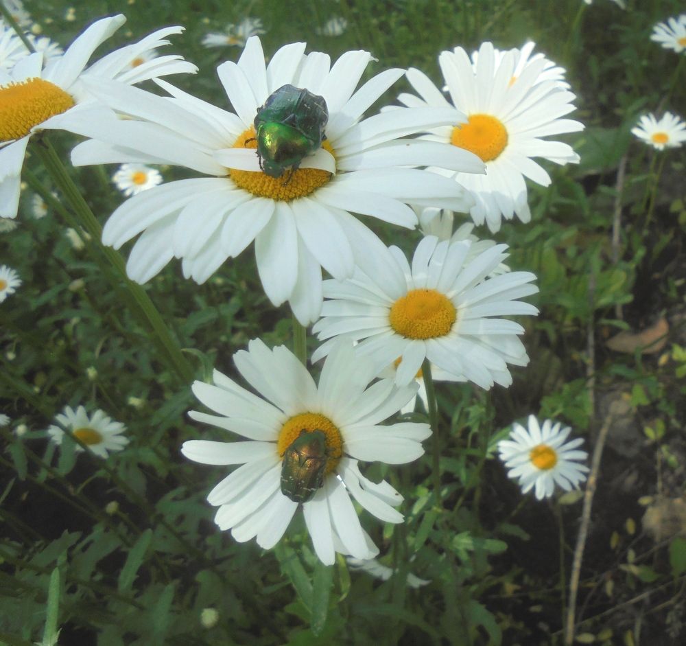 Photograph by Лилия Исхакова