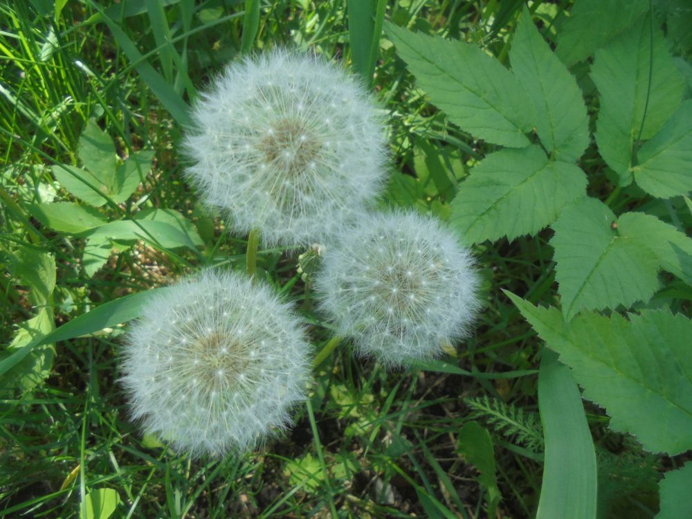 Photograph by Лилия Исхакова