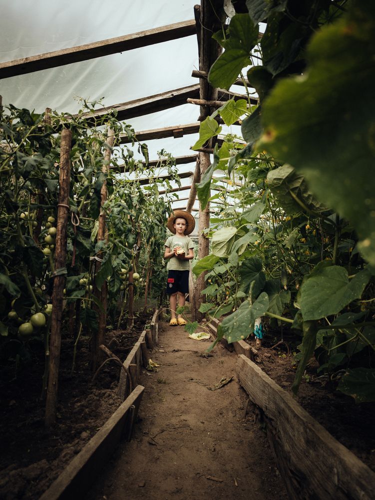 Photograph by Vitaliy