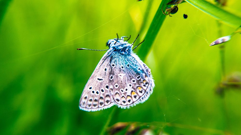 Photograph by Vitaliy