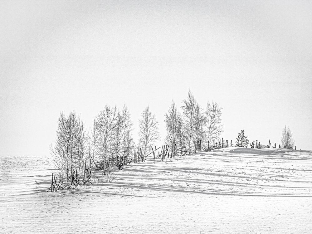 Photograph by Игорь Толкачев