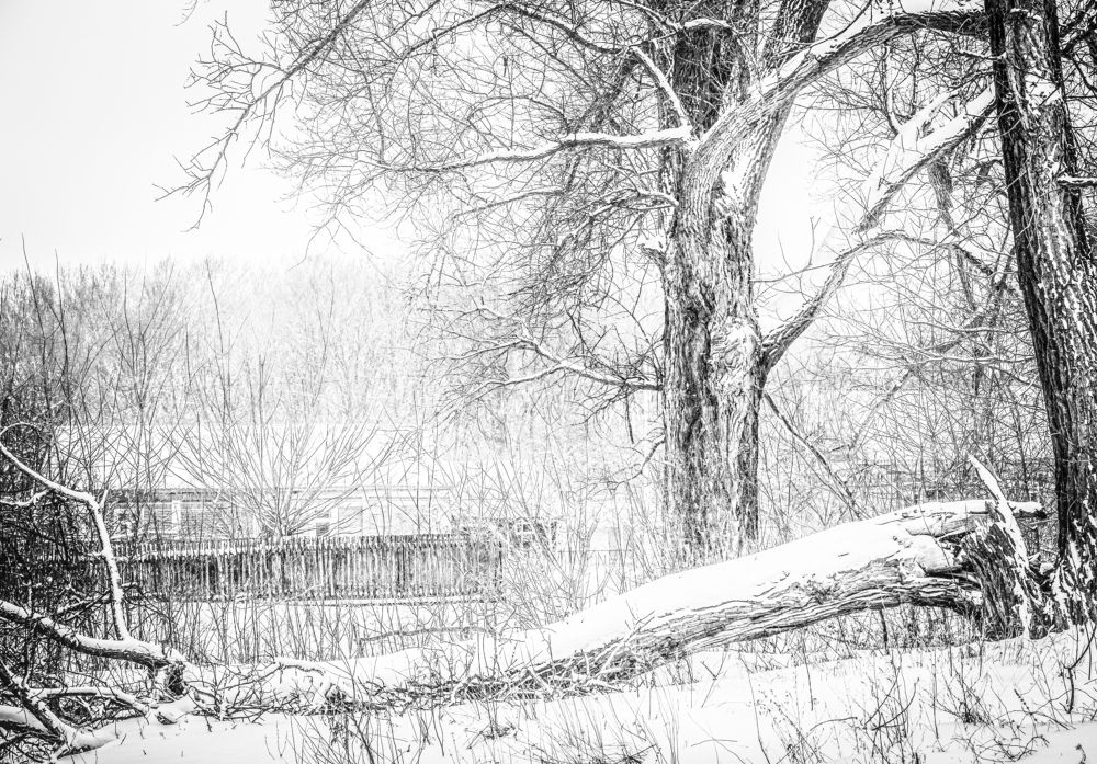 Photograph by Игорь Толкачев