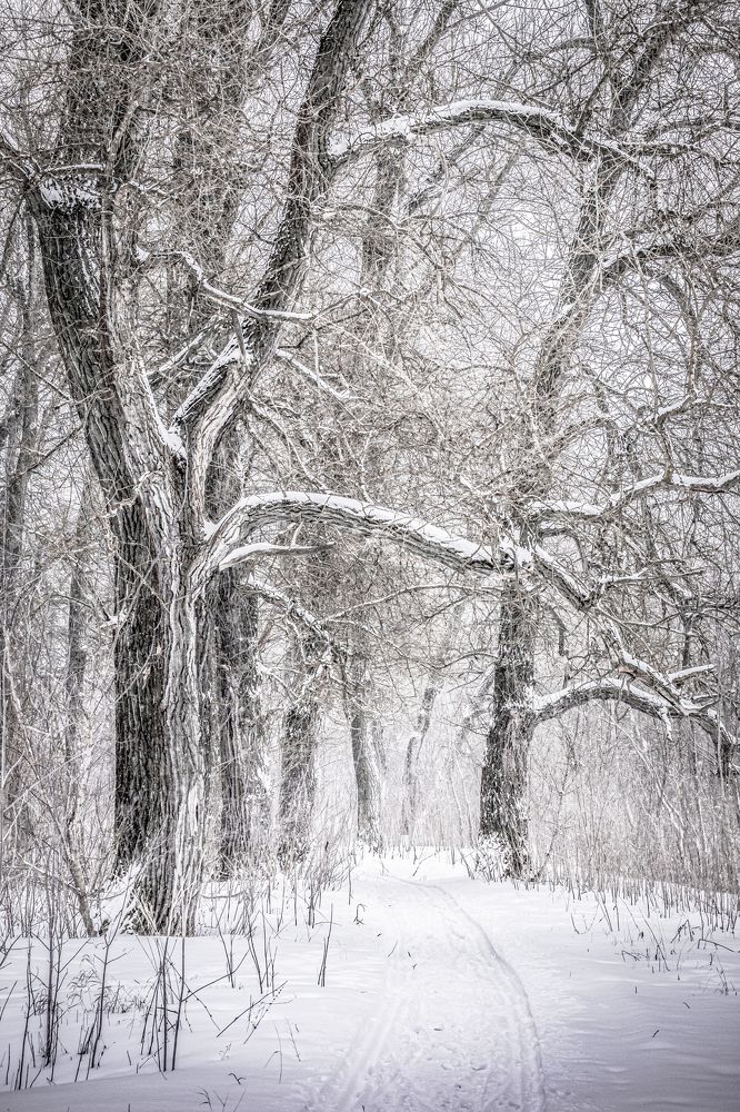 Photograph by Игорь Толкачев