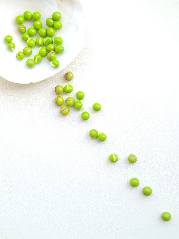 Фотография автора Казакова Людмила Ивановна