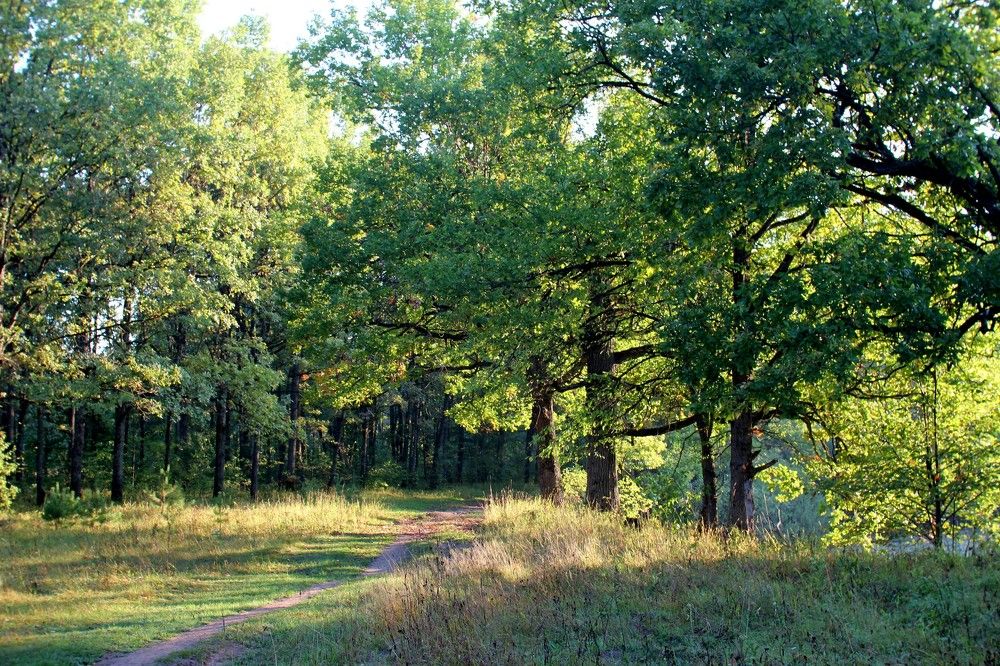 Photograph by Сергей Зятиков