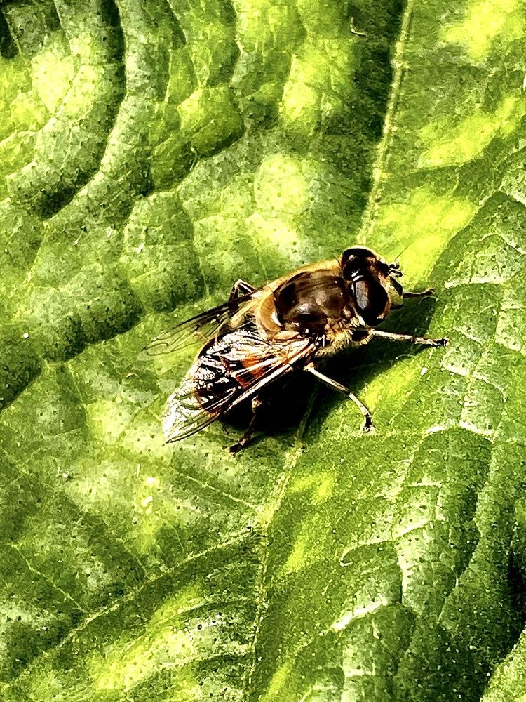 Photograph by Nadya Sterligova