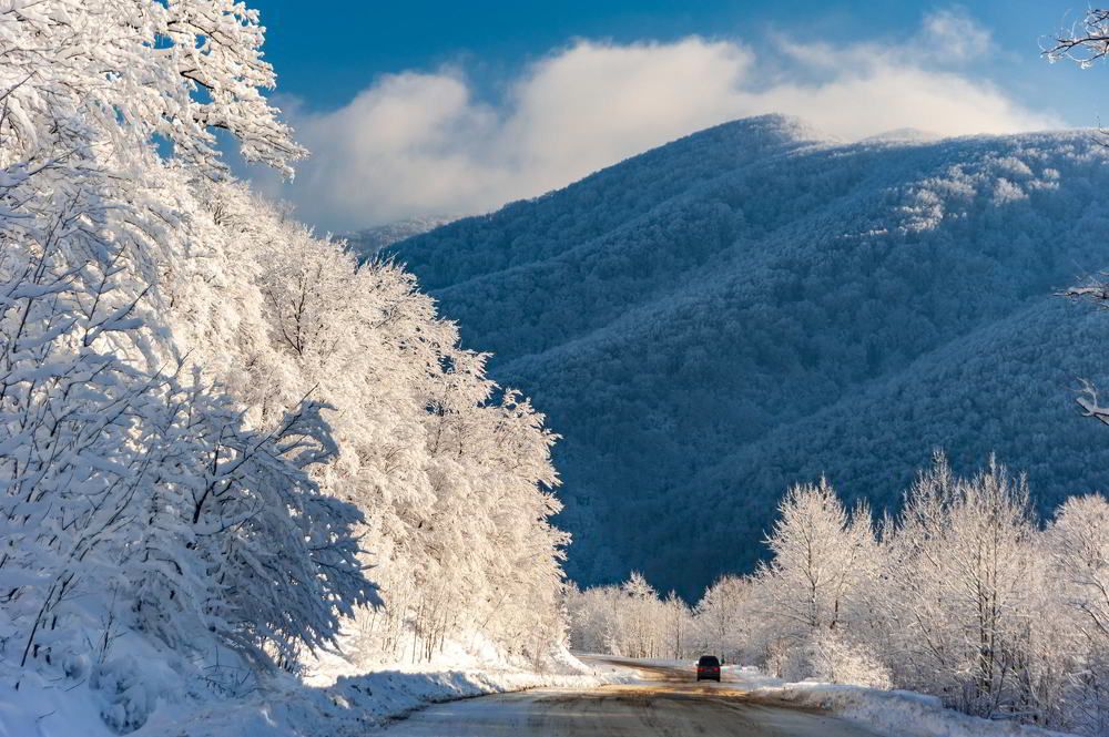Photograph by Виктор Лагашёв
