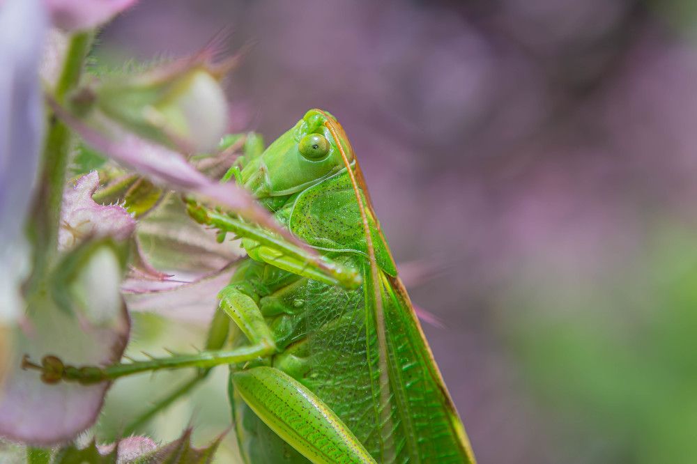 Photograph by Marianna Klein